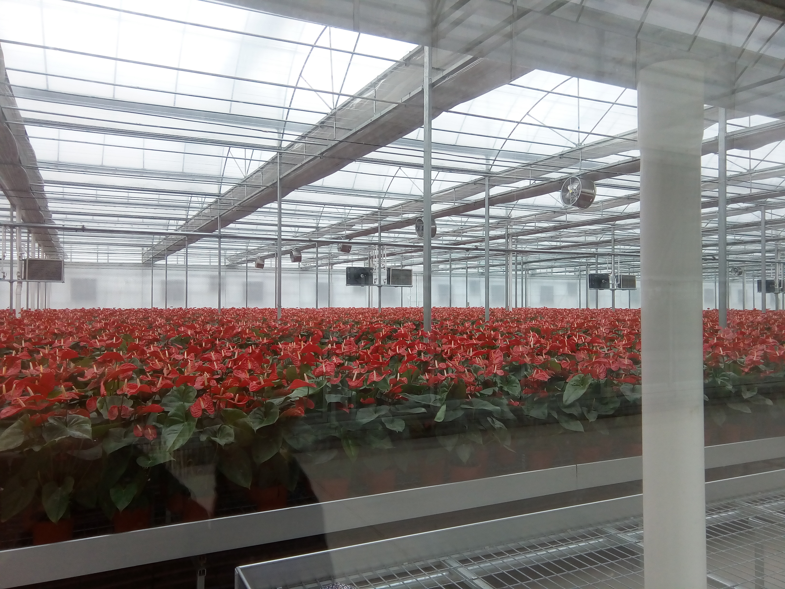 飛龍農(nóng)業(yè)溫控：為中國(guó)農(nóng)業(yè)溫控插上科技的翅膀