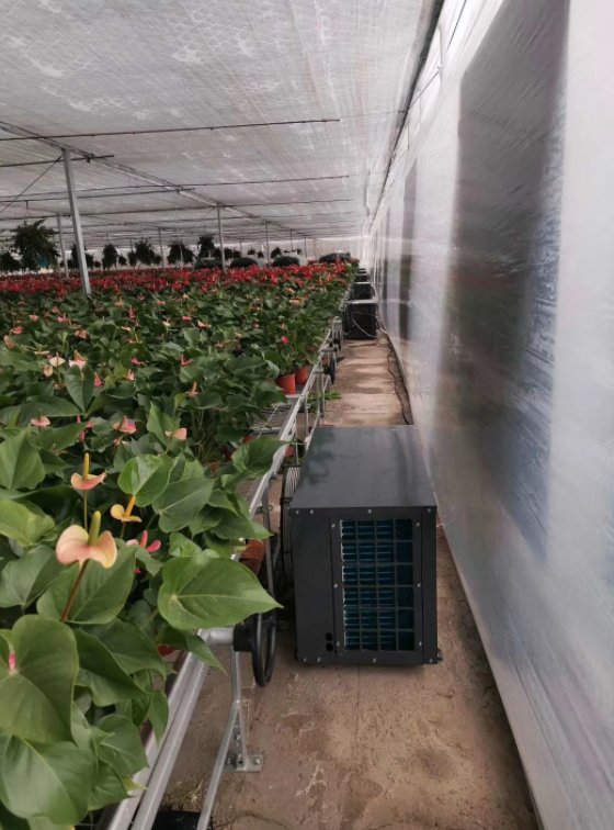 空氣源熱泵在溫室大棚加溫供暖中的優(yōu)勢