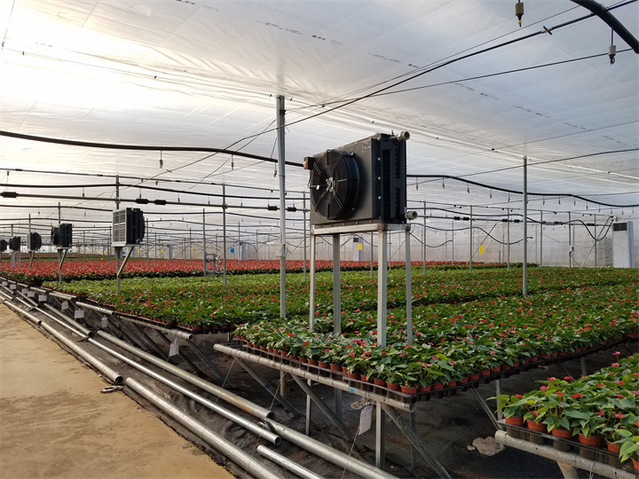 綠航園藝（44畝）