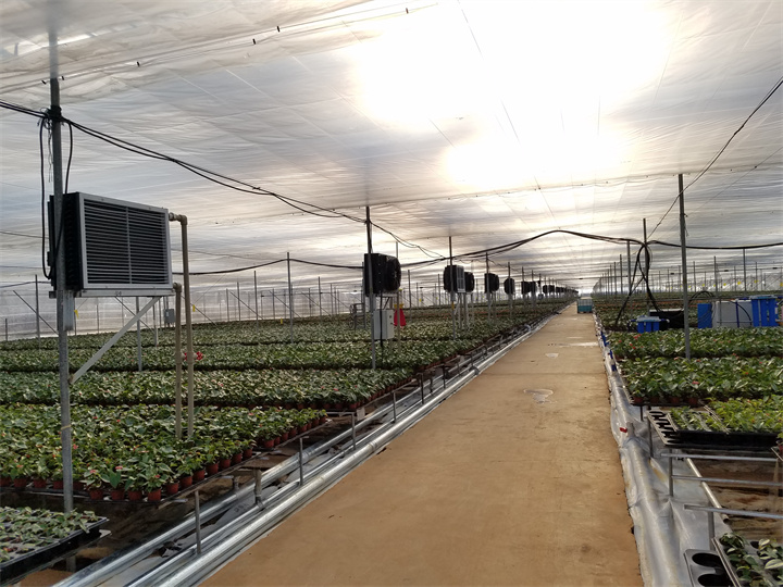 綠航園藝（34畝）