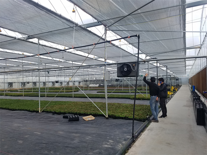 云南昆明卉艷農業(yè)發(fā)展有限公司