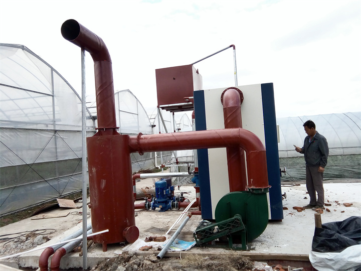 上海崇明島港沿花卉示范基地