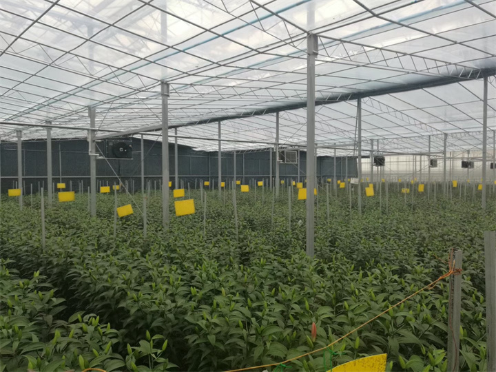 青島城陽環(huán)灣基地